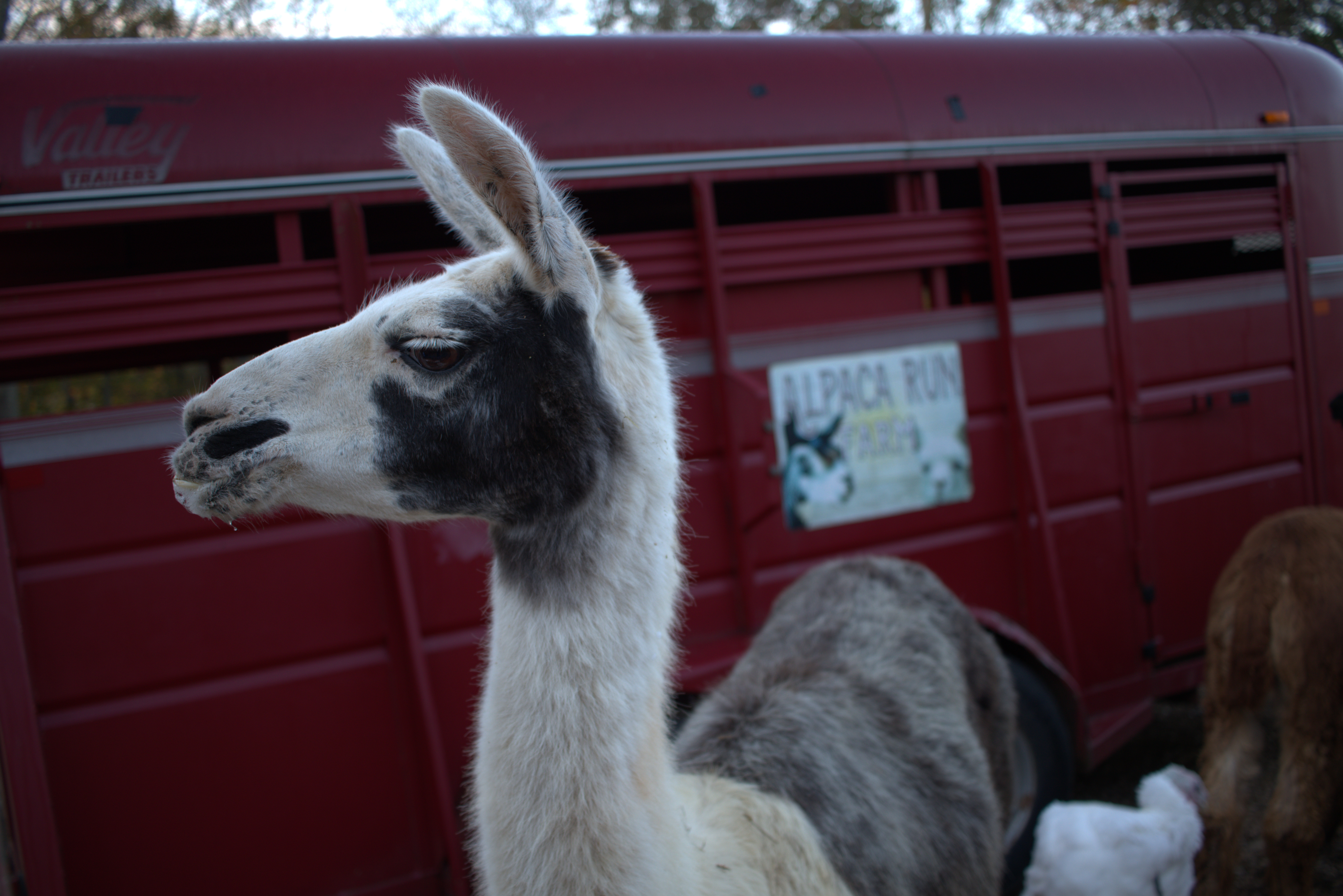 Group farm tour — replace with your photo